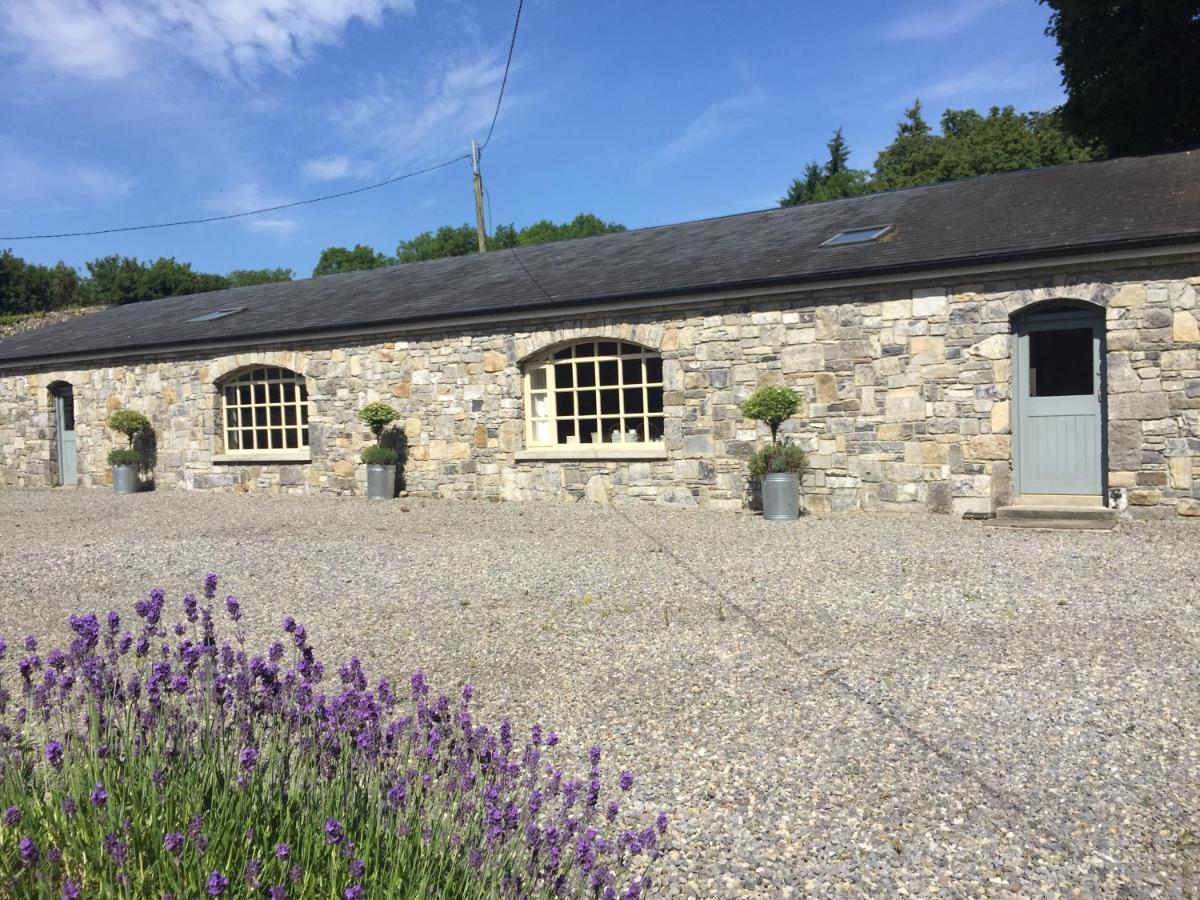 Clonalis House - Guesthouse Castlerea Buitenkant foto