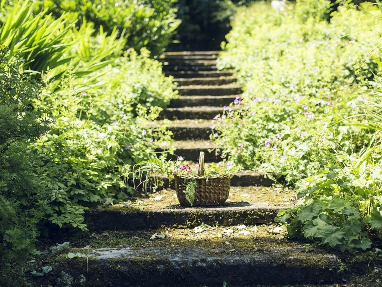 Clonalis House - Guesthouse Castlerea Buitenkant foto
